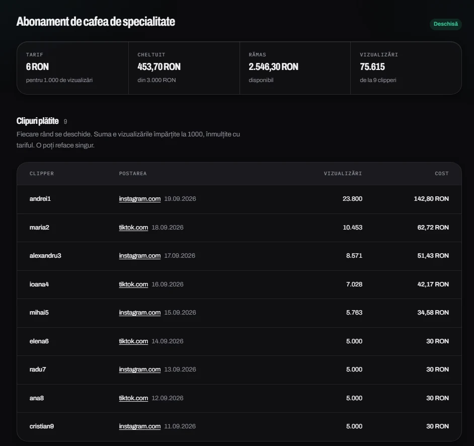 Panoul unei campanii, așa cum îl vede brandul: tariful pentru 1.000 de vizualizări, cât s-a cheltuit din buget, cât a rămas, câte vizualizări au adus clipurile, și lista clipurilor plătite cu linkul și suma fiecăruia.